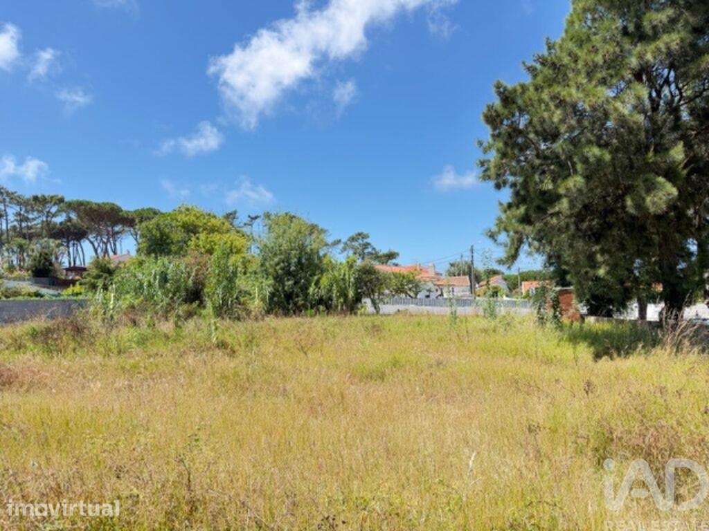 Terreno para construção em São João das Lampas e Terrugem - Grande imagem: 2/12