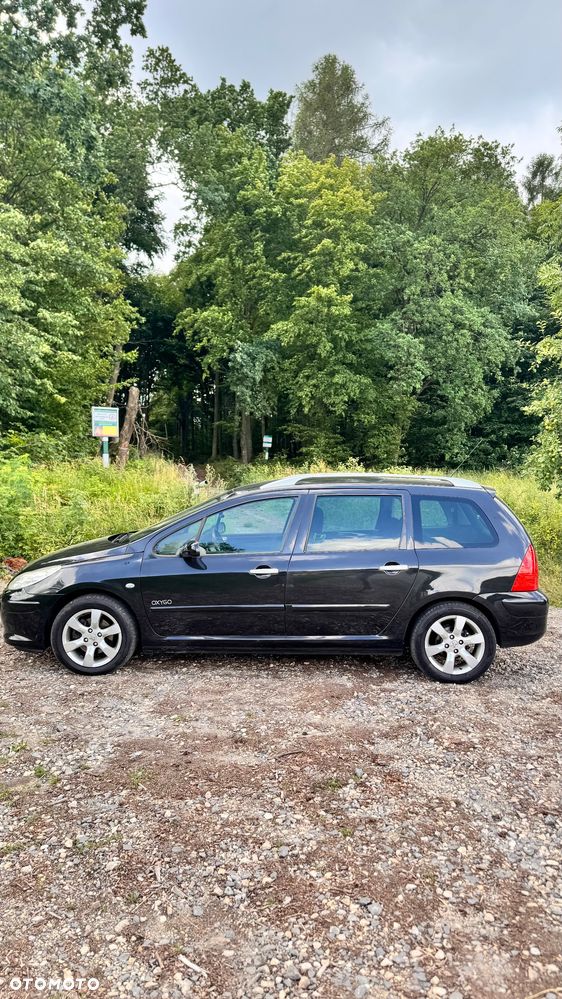 Peugeot 307 1.6 Oxygene - 8