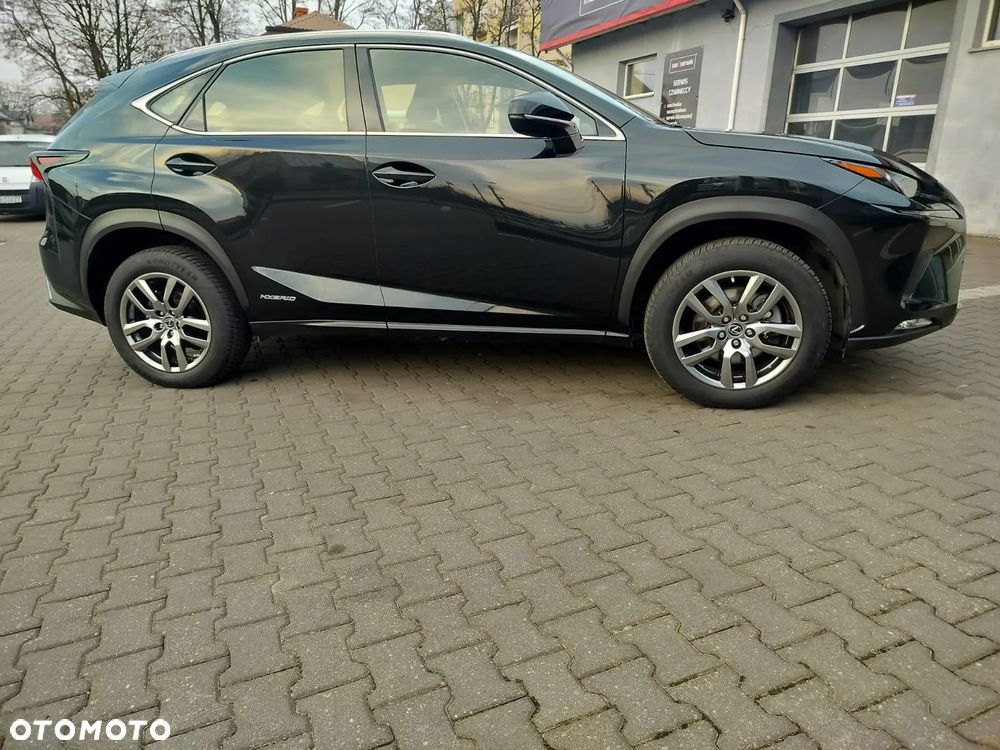 Lexus NX 300h Business Edition AWD - 18