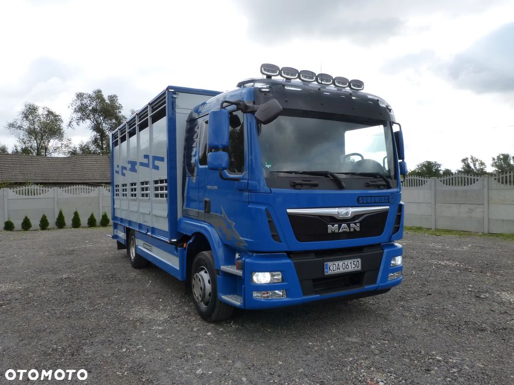 MAN TGM 15.250 DO ŻYWCA / ZWIERZĄT / BYDŁA / WAGA EL/. EURO 6 / DŁ. 5.20M /XENON - 1