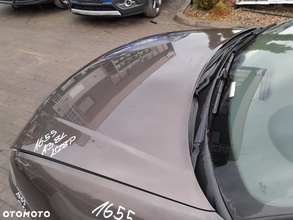 AUDI A3 8L MASKA POKRYWA SILNIKA KOLOR: LZ8P - 6