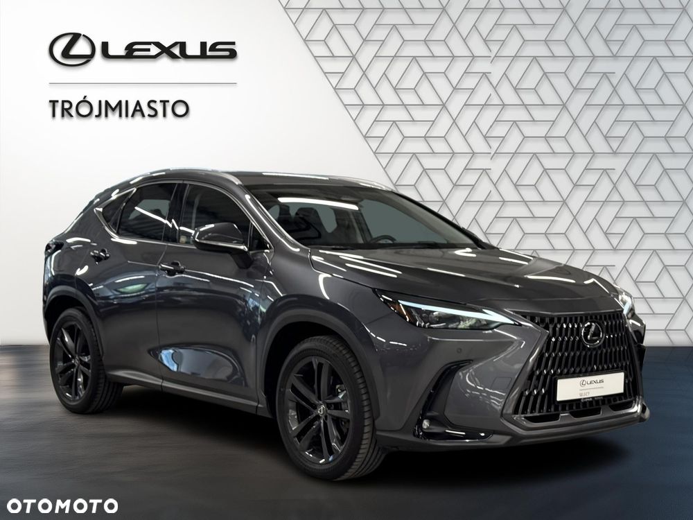 Lexus NX - 8
