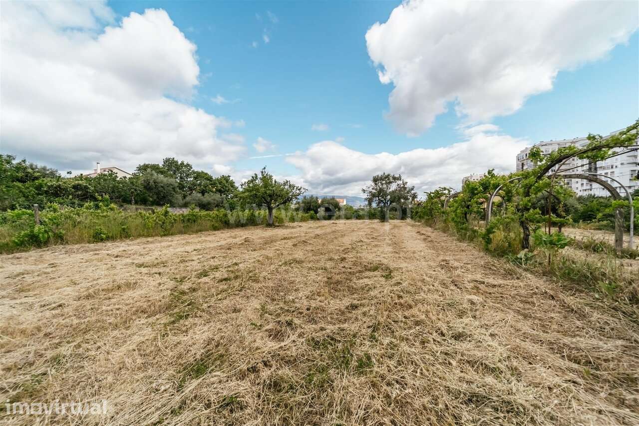 Terreno Agrícola Fundão - Grande imagem: 3/13