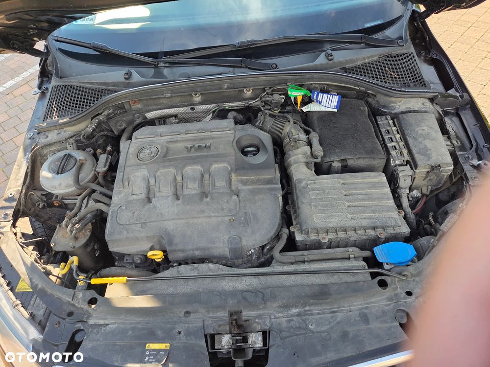 Skoda Octavia - 14