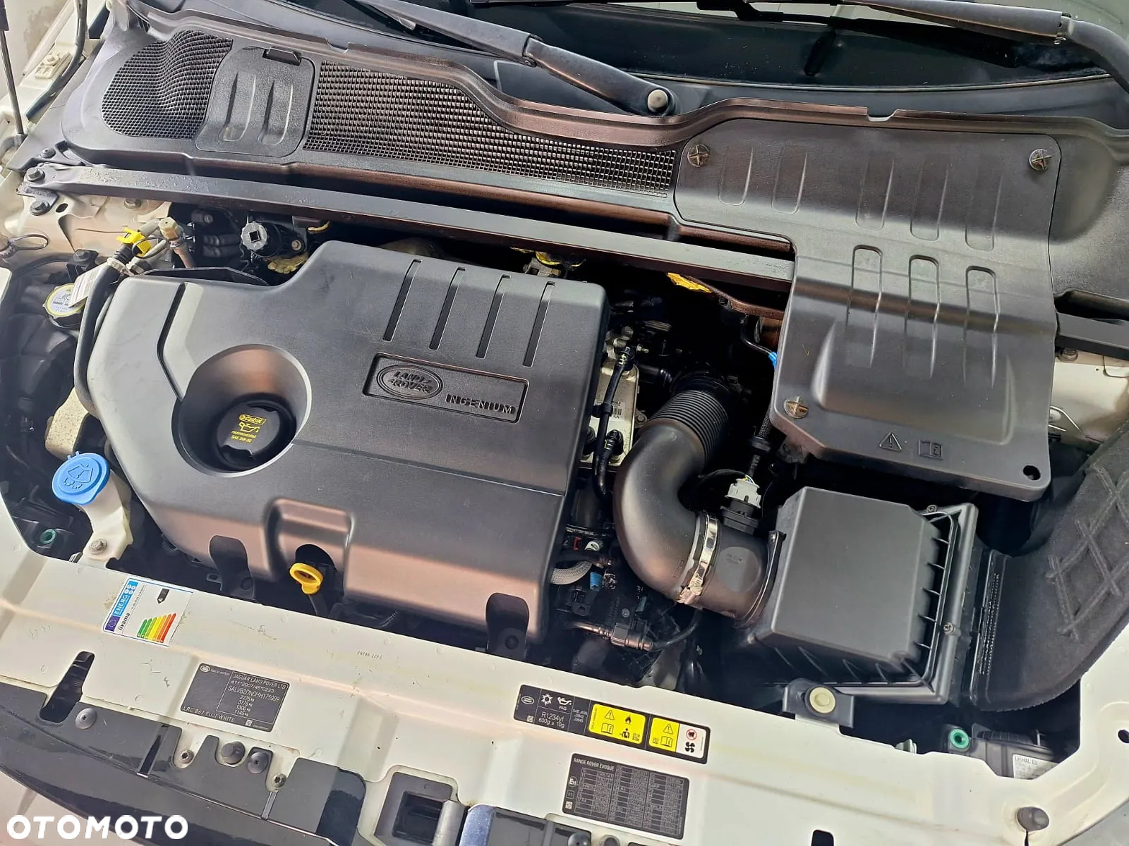 Land Rover Range Rover Evoque 2.0 D150 R-Dynamic - 26
