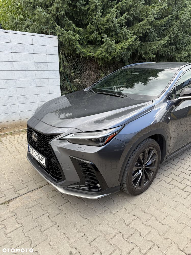 Lexus NX - 2