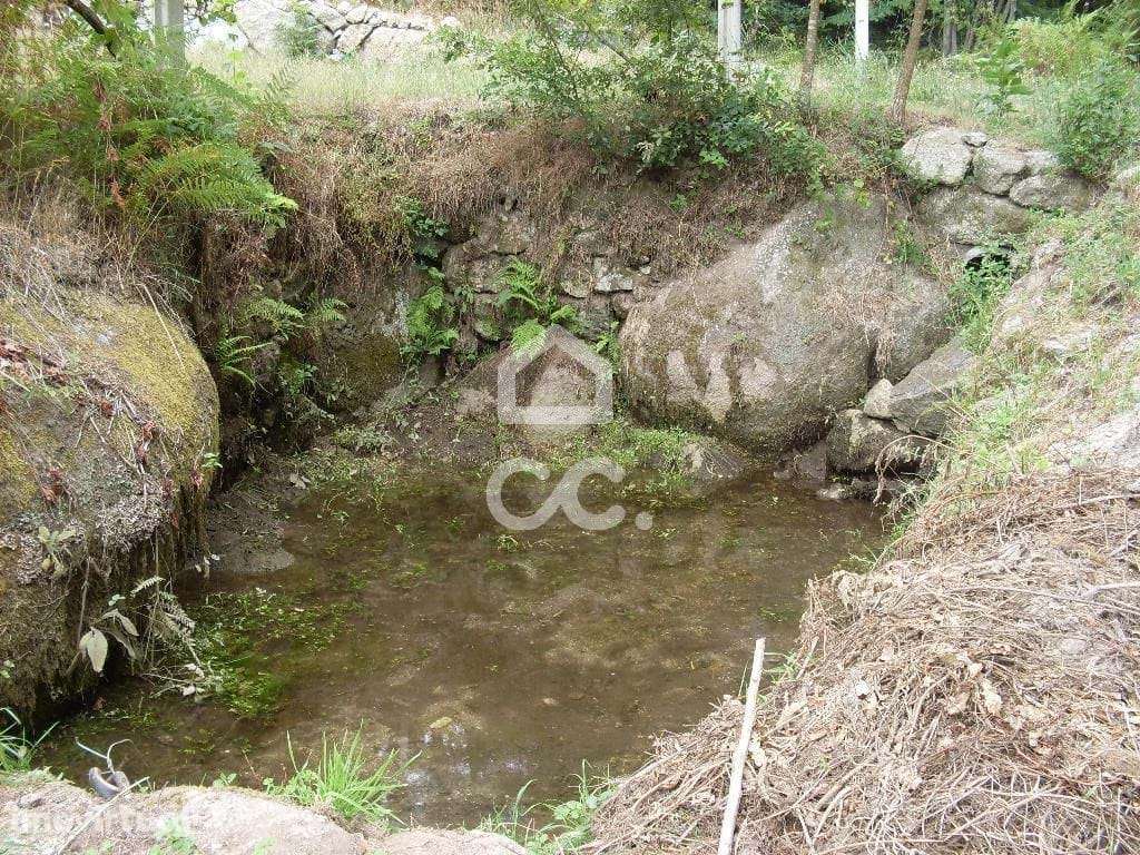 Terreno rústico - Terreno Florestal - Grande imagem: 4/12