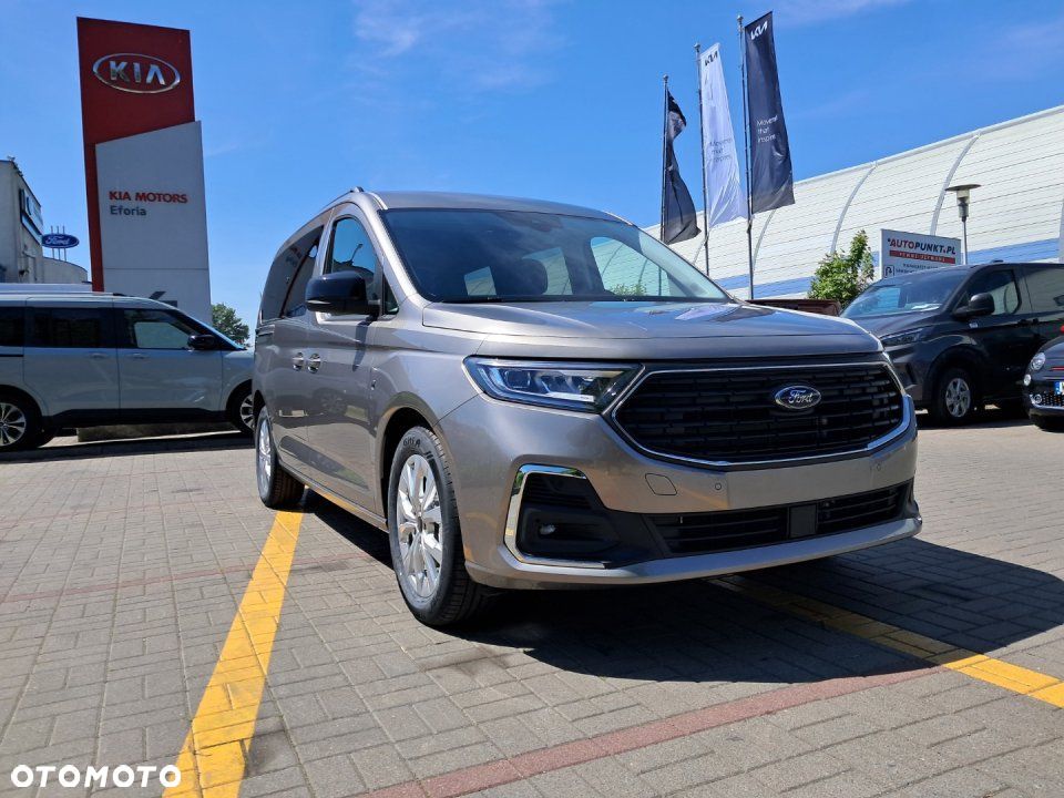 Ford Tourneo Connect - 18