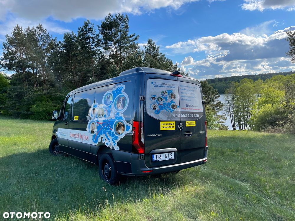 Mercedes-Benz Sprinter - 3