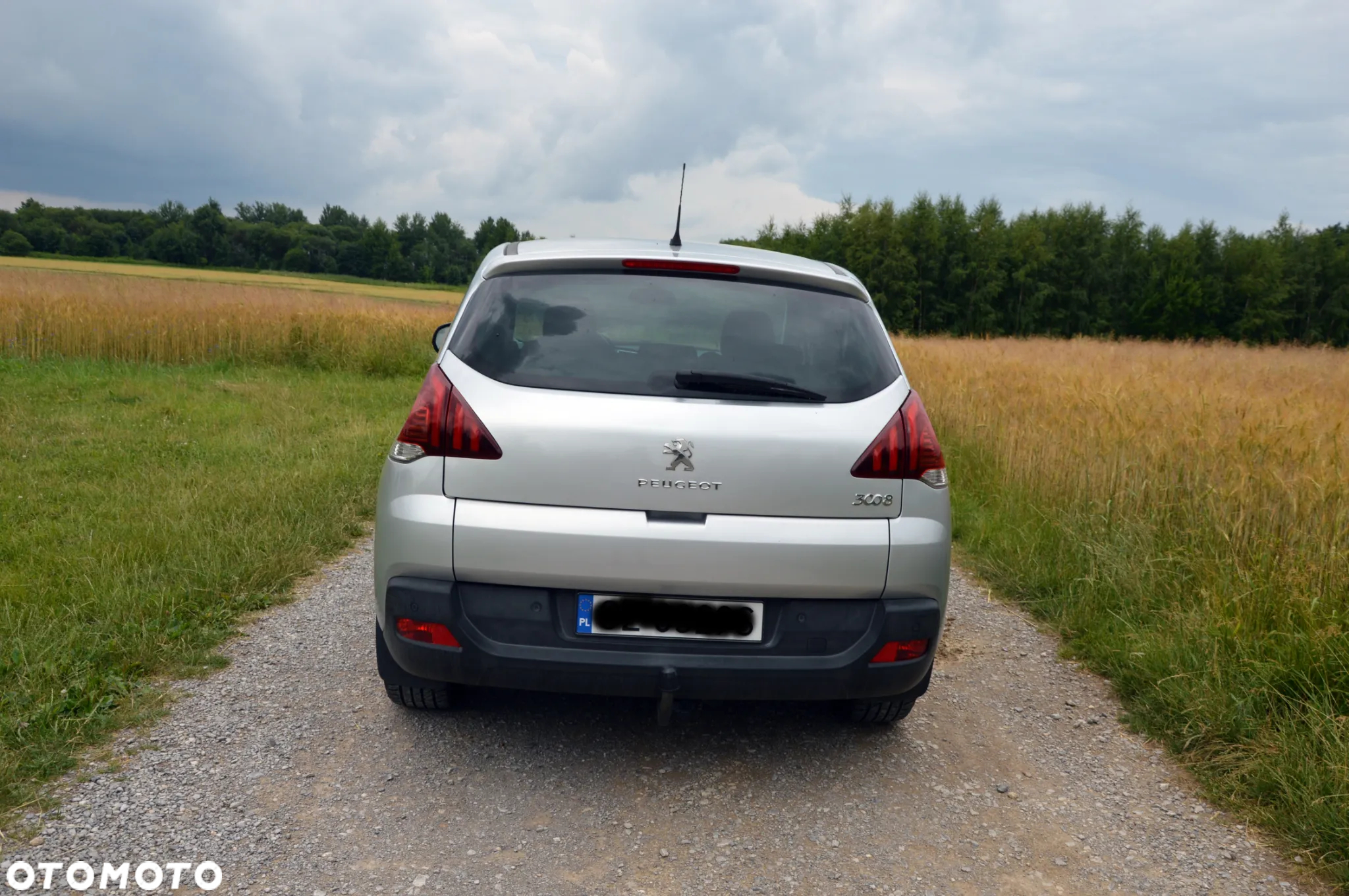 Peugeot 3008 - 17