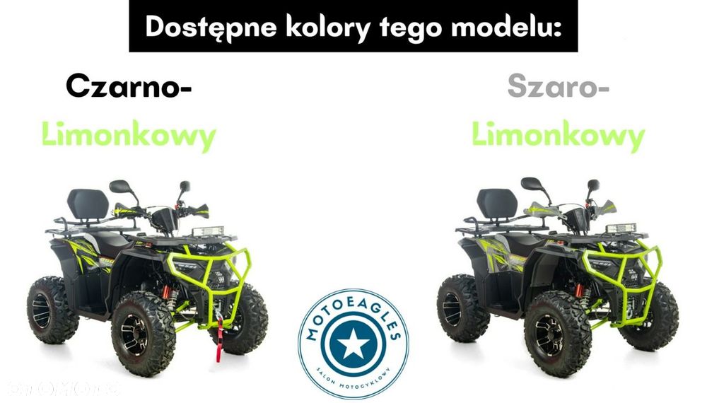XTR Inny - 17