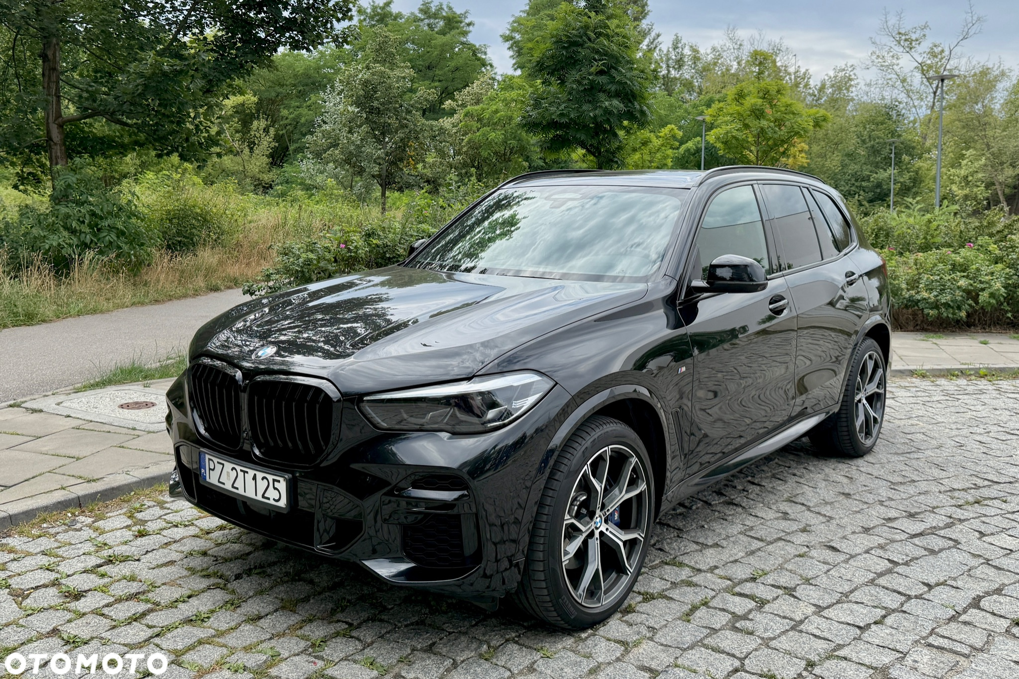 BMW X5 xDrive30d sport - 2