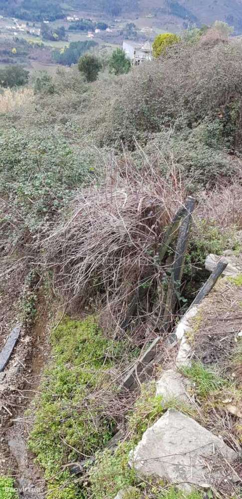 Terreno Rústico - Grande imagem: 2/2