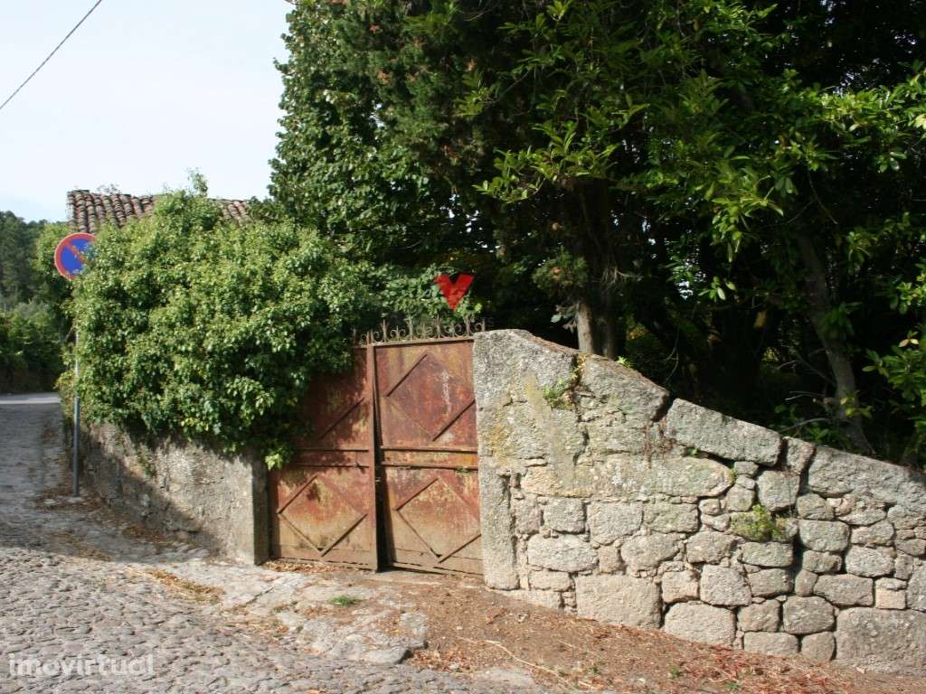 Quinta em região demarcada do Dão - Grande imagem: 4/43