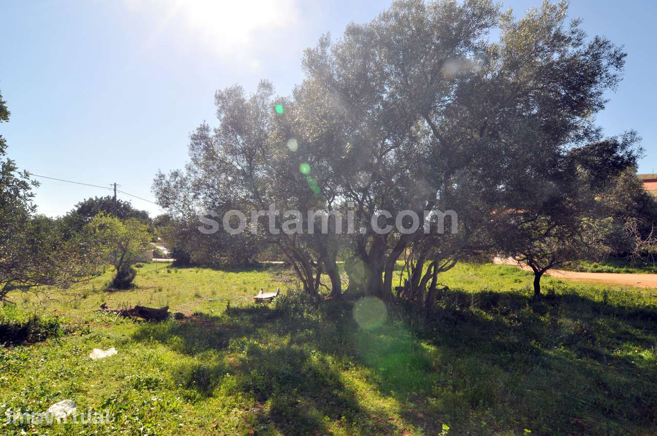 Terreno Para Construção  Venda em Almancil,Loulé - Grande imagem: 5/6