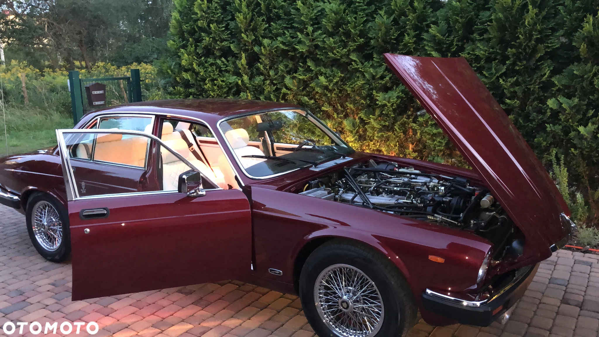 Jaguar XJ - 13