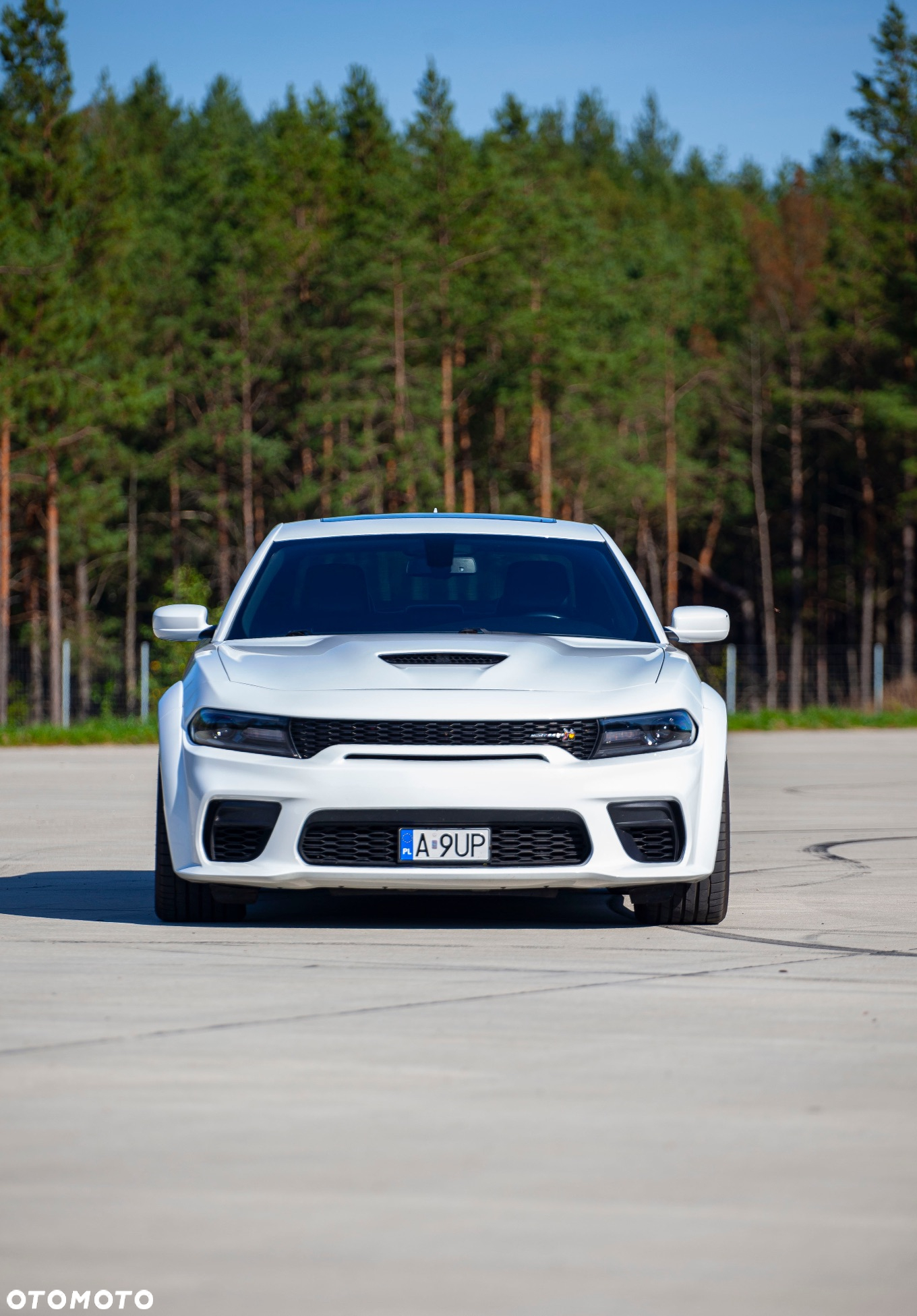 Dodge Charger 6.4 Scat Pack Widebody - 29