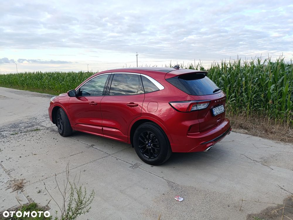 Ford Kuga 1.5 EcoBoost AWD ST-Line ASS - 14