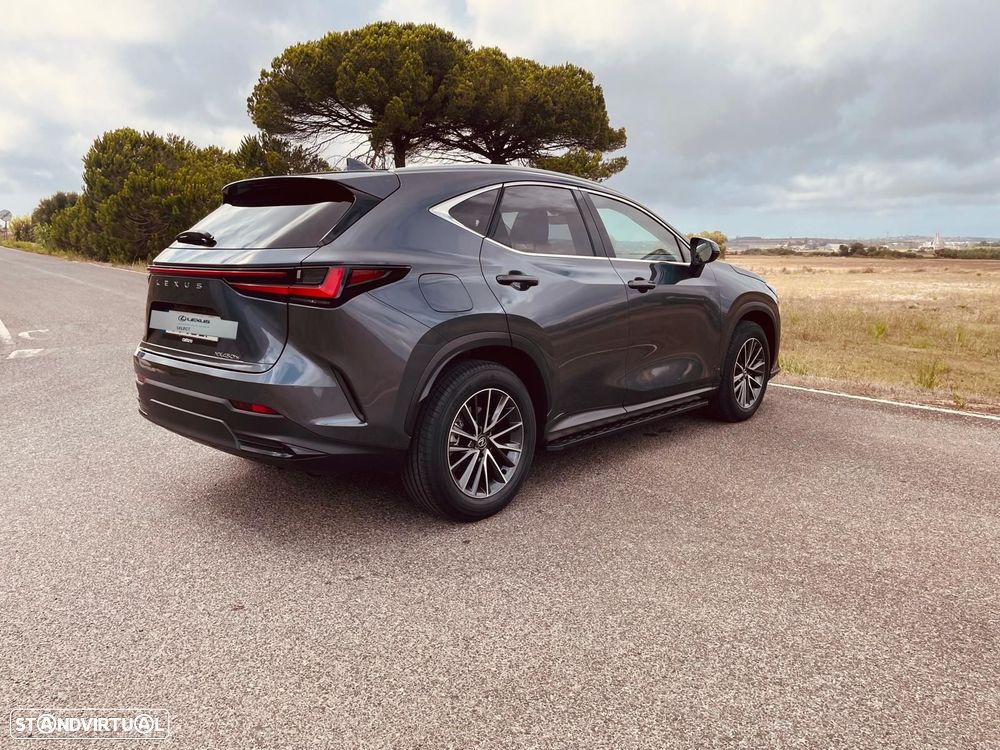 Lexus NX 450h+ Executive - 6