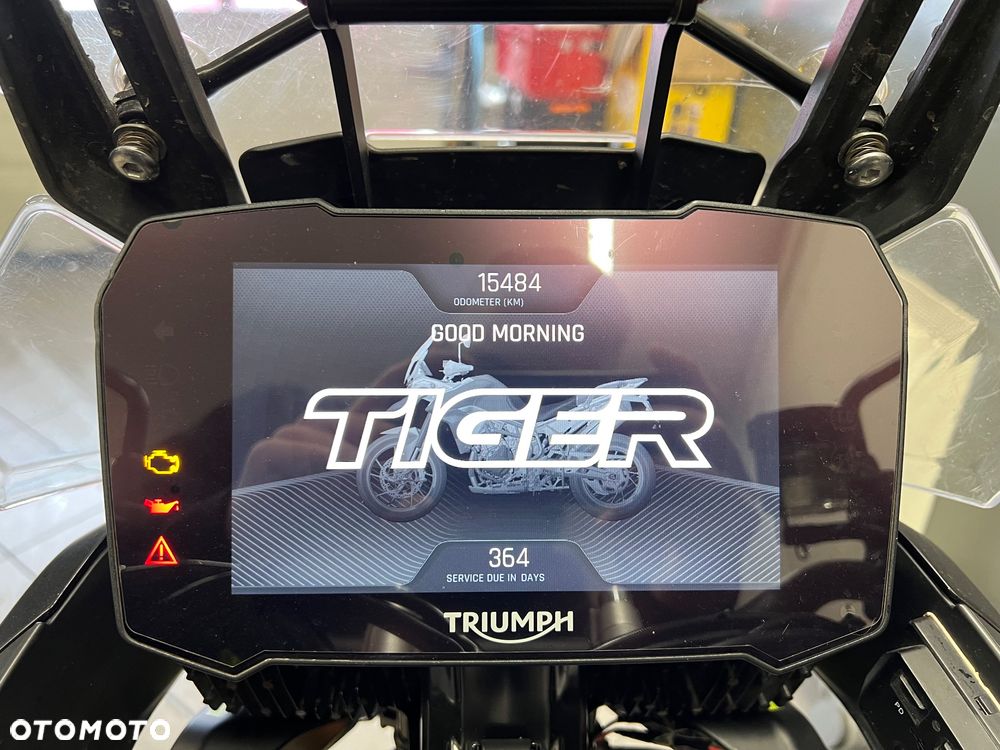 Triumph Tiger - 17