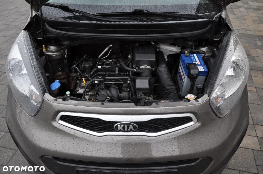 Kia Picanto 1.0 Dream Team Edition - 15