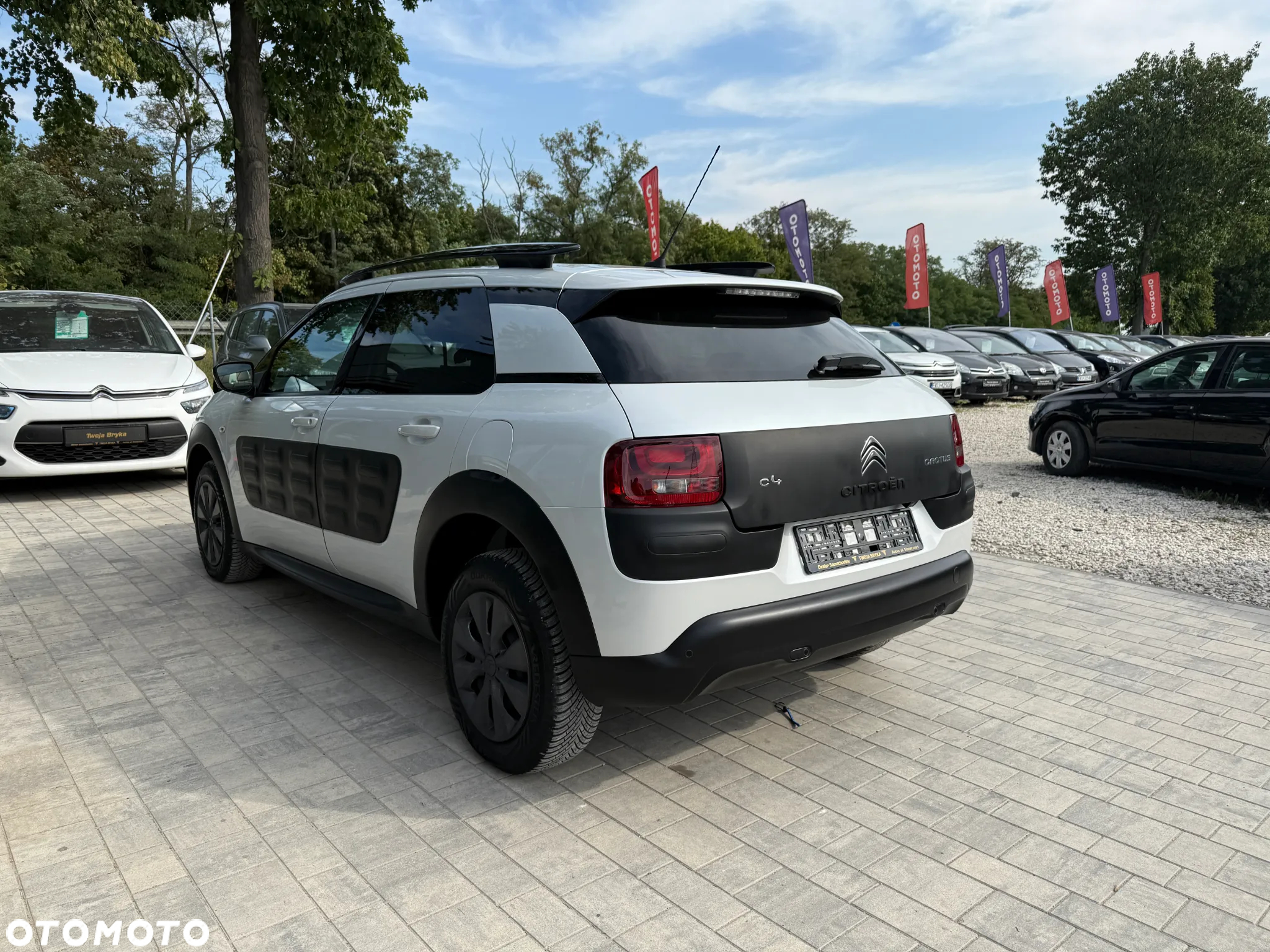 Citroën C4 Cactus BlueHDi 100 Stop&Start Shine Edition - 3