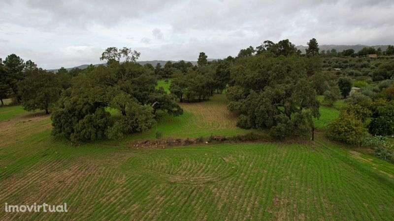 Terreno - Grande imagem: 2/7