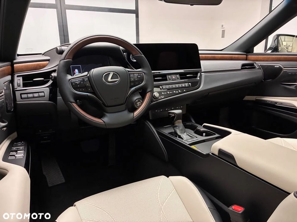 Lexus ES 300h Omotenashi - 10