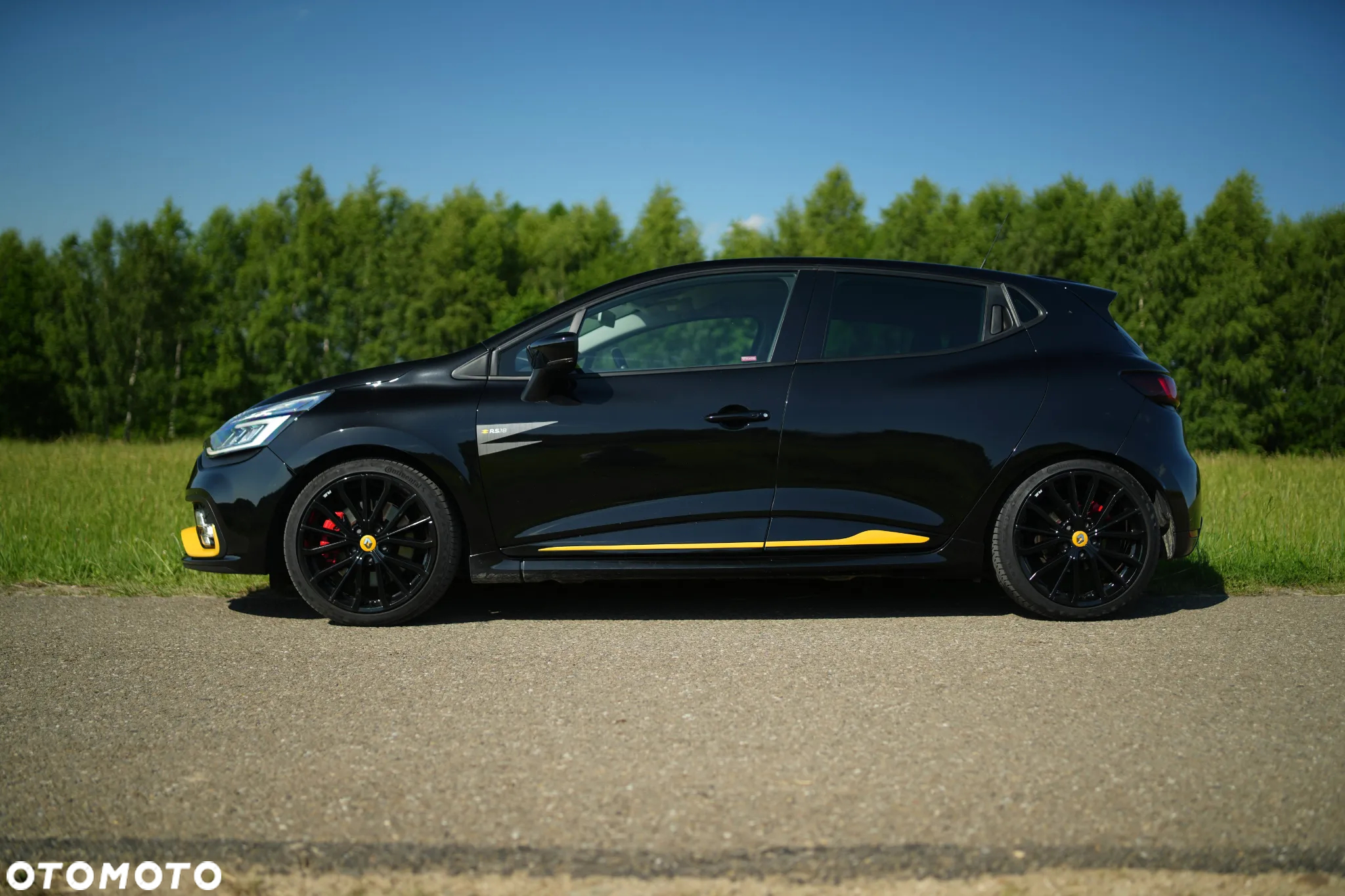 Renault Clio 1.6 R.S 18 - 9