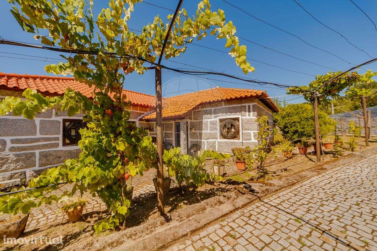 Quinta T3 para venda - Grande imagem: 4/34