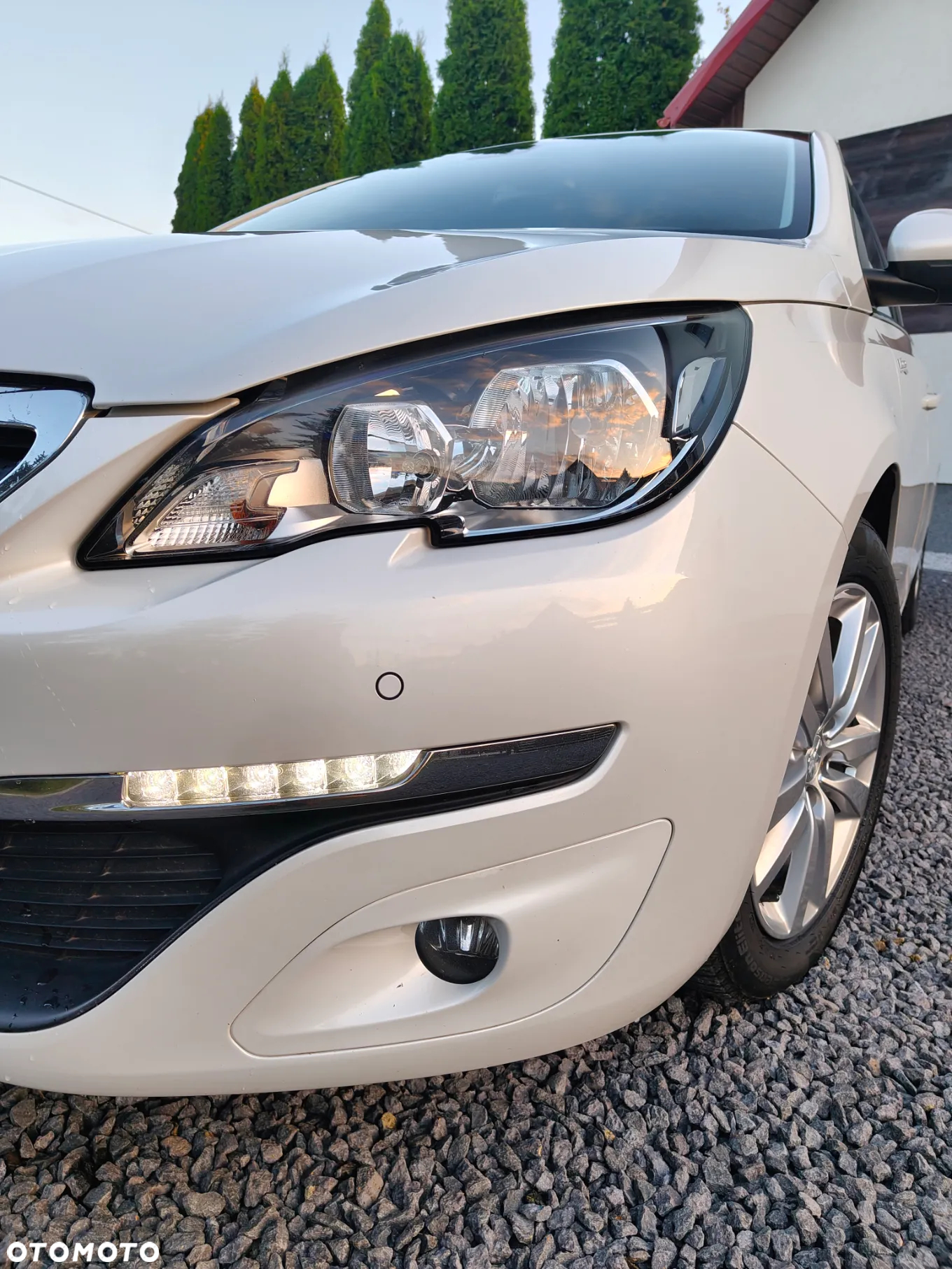 Peugeot 308 1.6 BlueHDi Business Line S&S - 36
