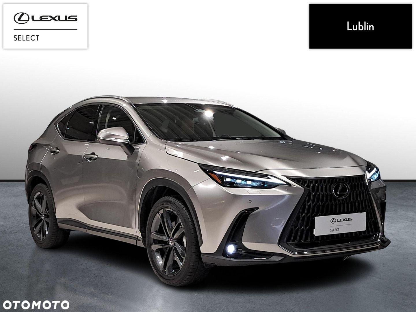 Lexus NX 350h Prestige AWD - 7