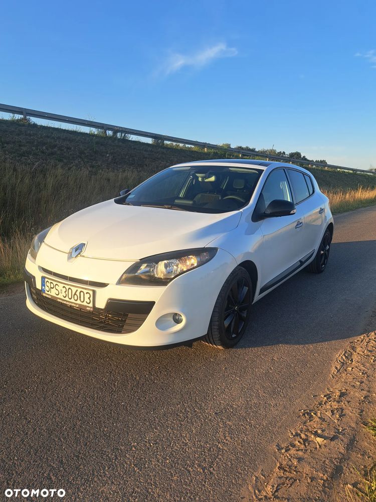 Renault Megane 1.9 dCi Color Edition - 1