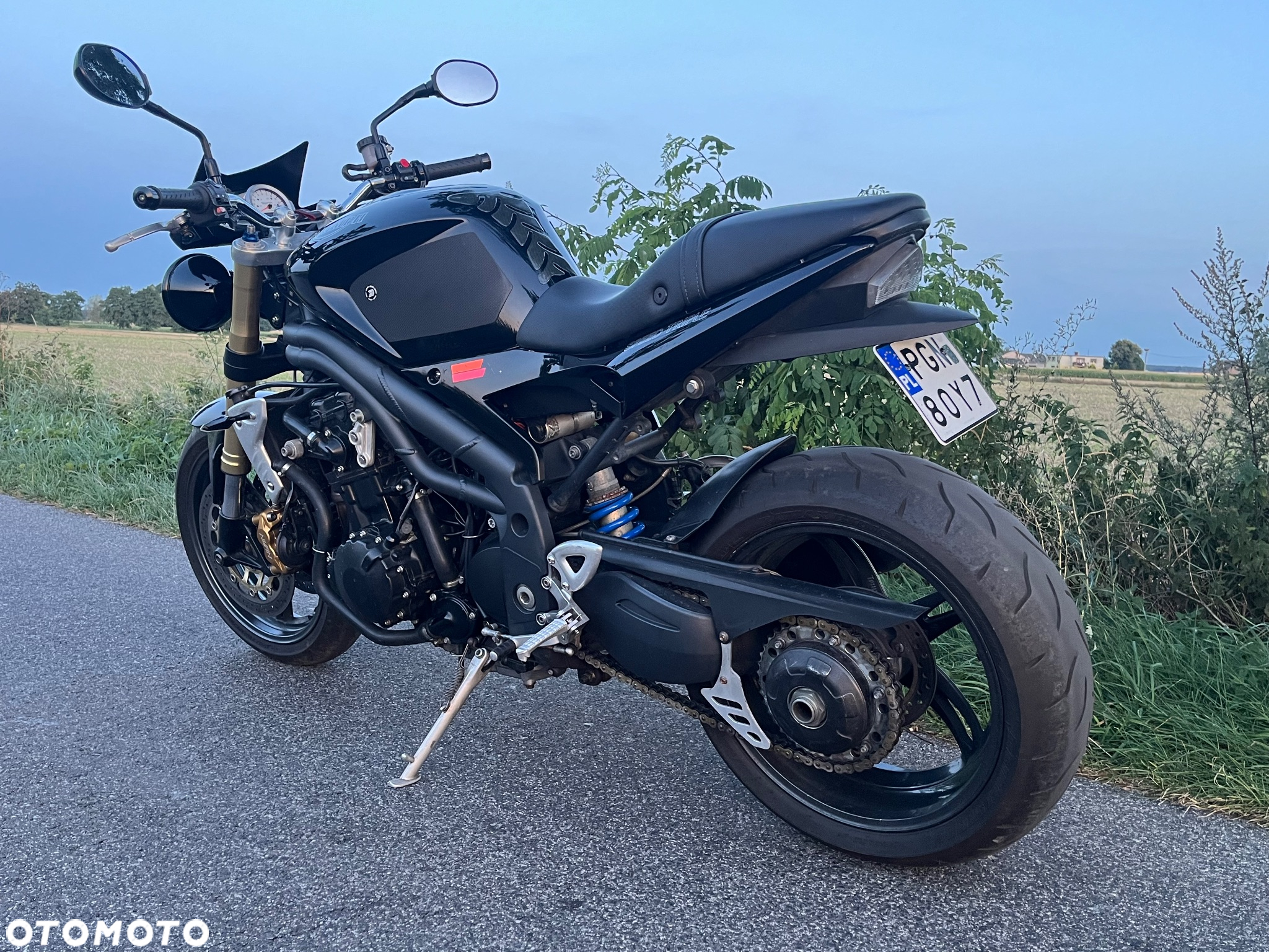 Triumph Speed Triple - 5