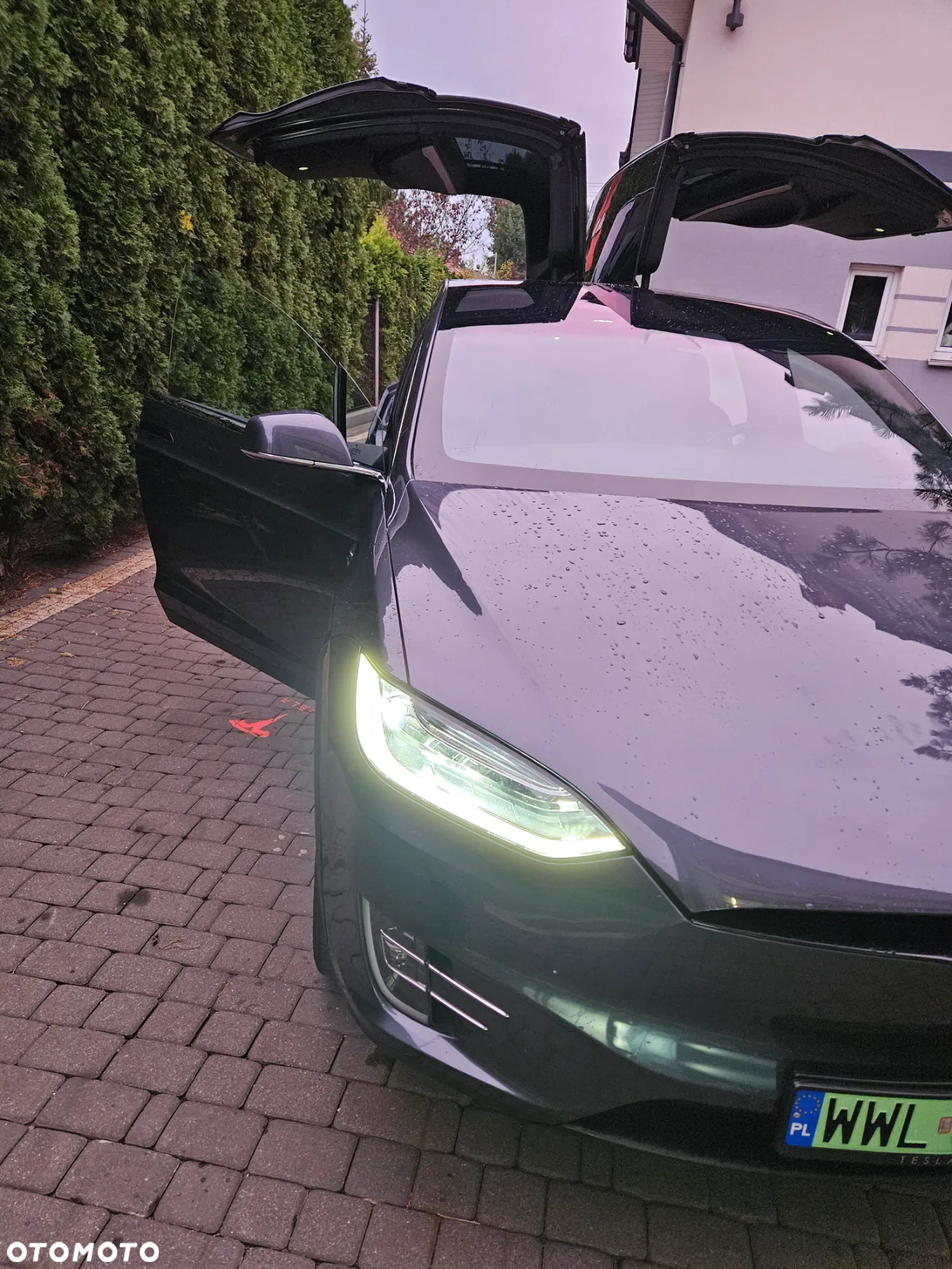 Tesla Model X P 100 D - 19