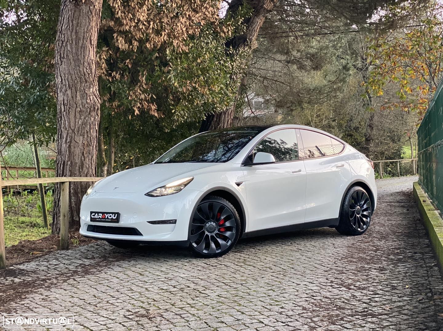 Tesla Model Y Performance Dual Motor AWD - 1