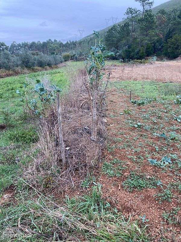 Terreno  para venda - Grande imagem: 2/4