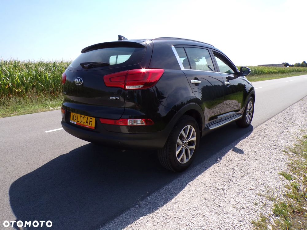 Kia Sportage - 6
