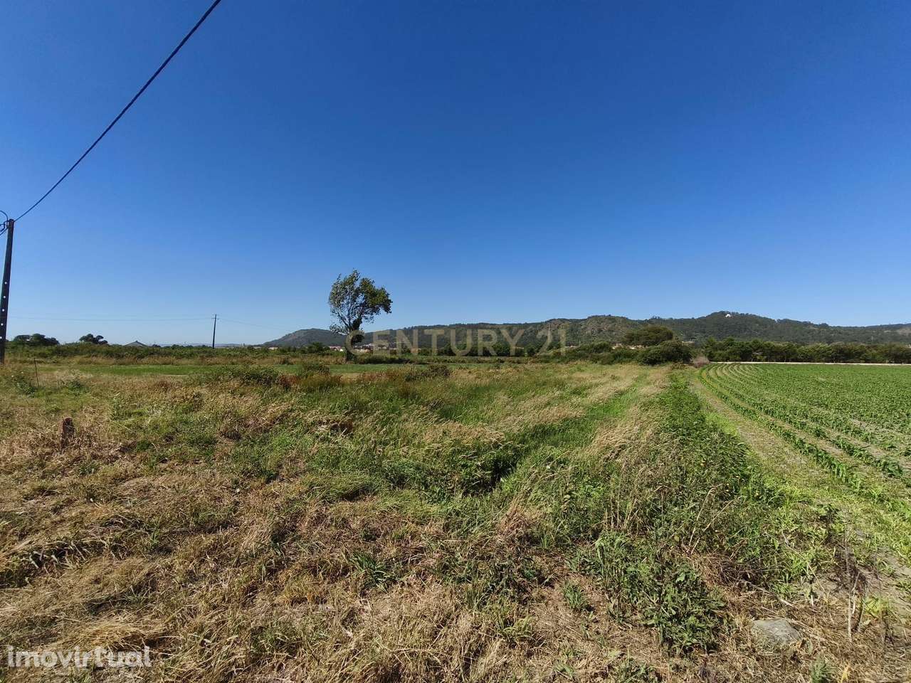 Terreno com 423m2 nas Marinhas com Excelente Localização - Grande imagem: 4/11