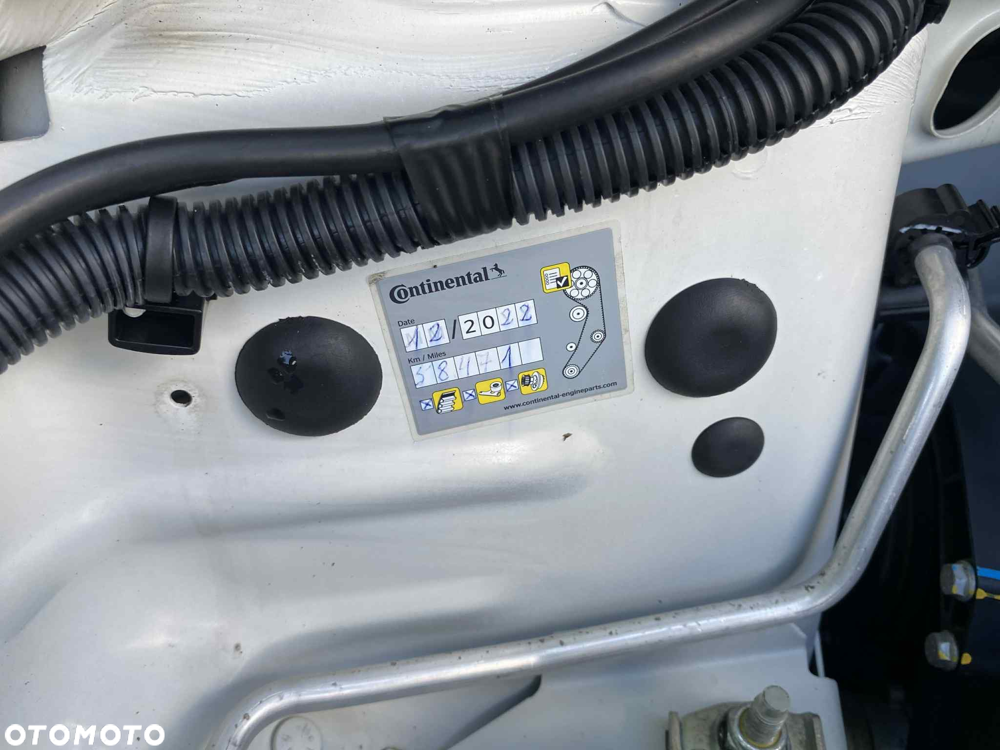 Fiat 500 - 25