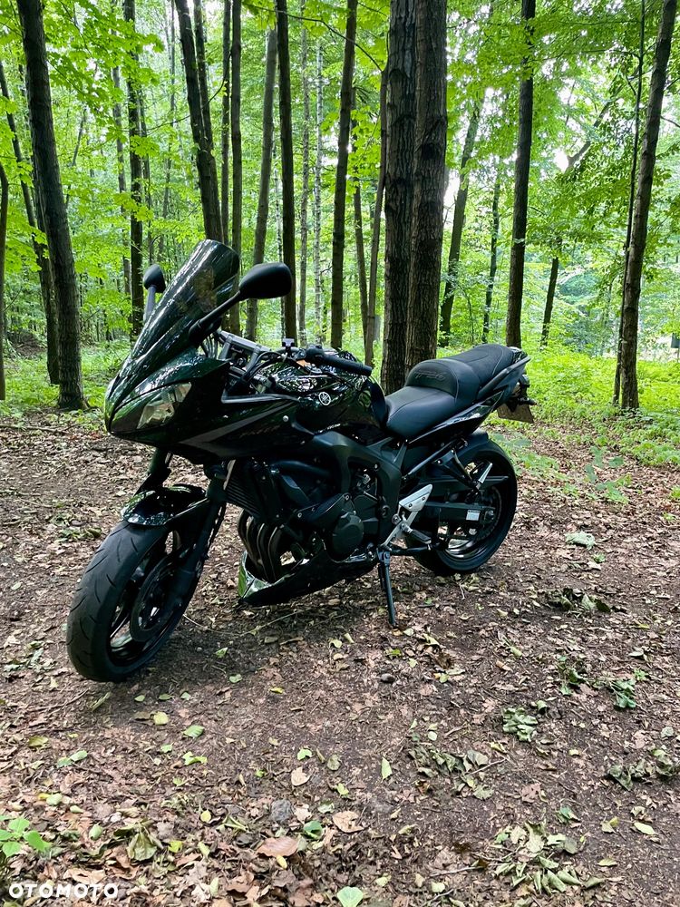 Yamaha FZ6 - 8
