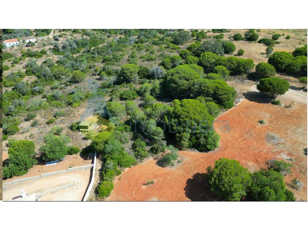 Terreno rústico com 10.540 m² para venda em Armação de Pêra - Grande imagem: 4/5
