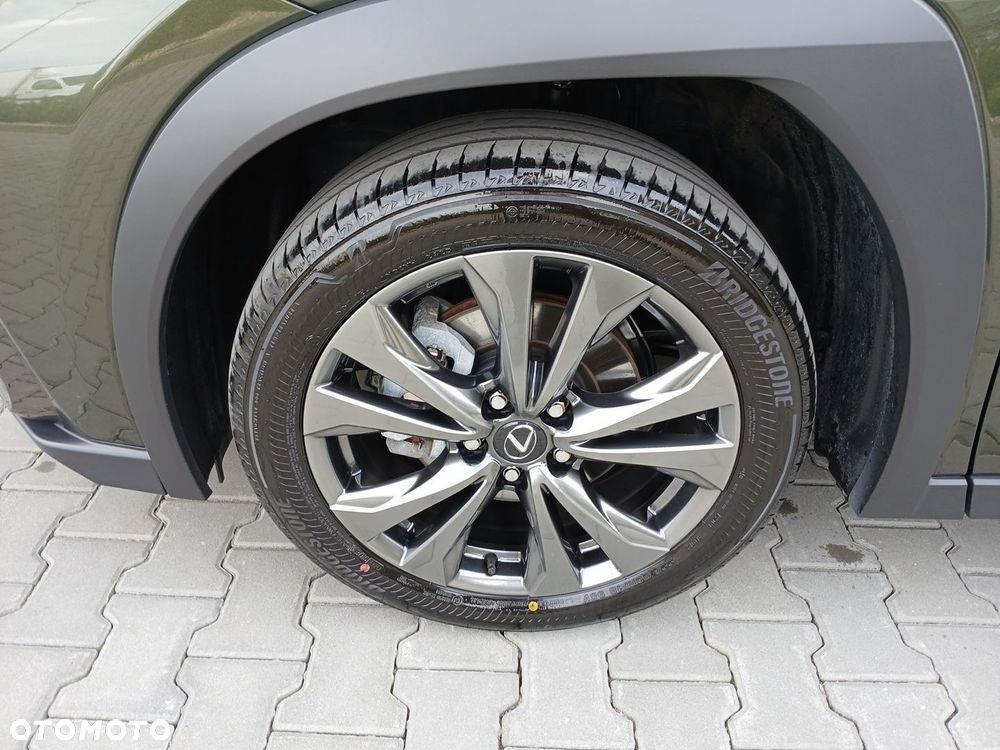 Lexus UX 300h F Sport Design - 29