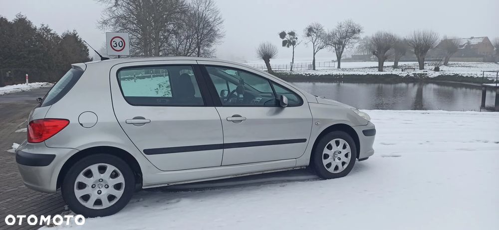 Peugeot 307 - 6