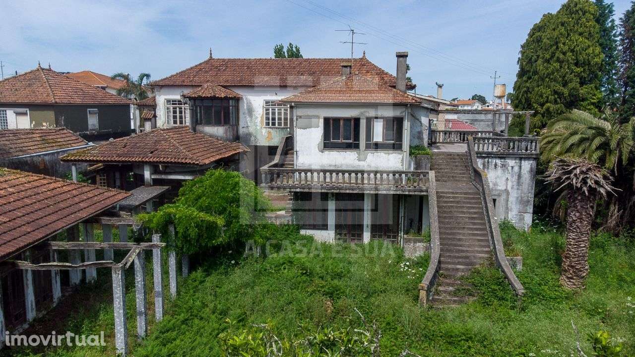 Quintinha de 16.000 m2 próxima do mercado de Lourosa - Grande imagem: 2/39