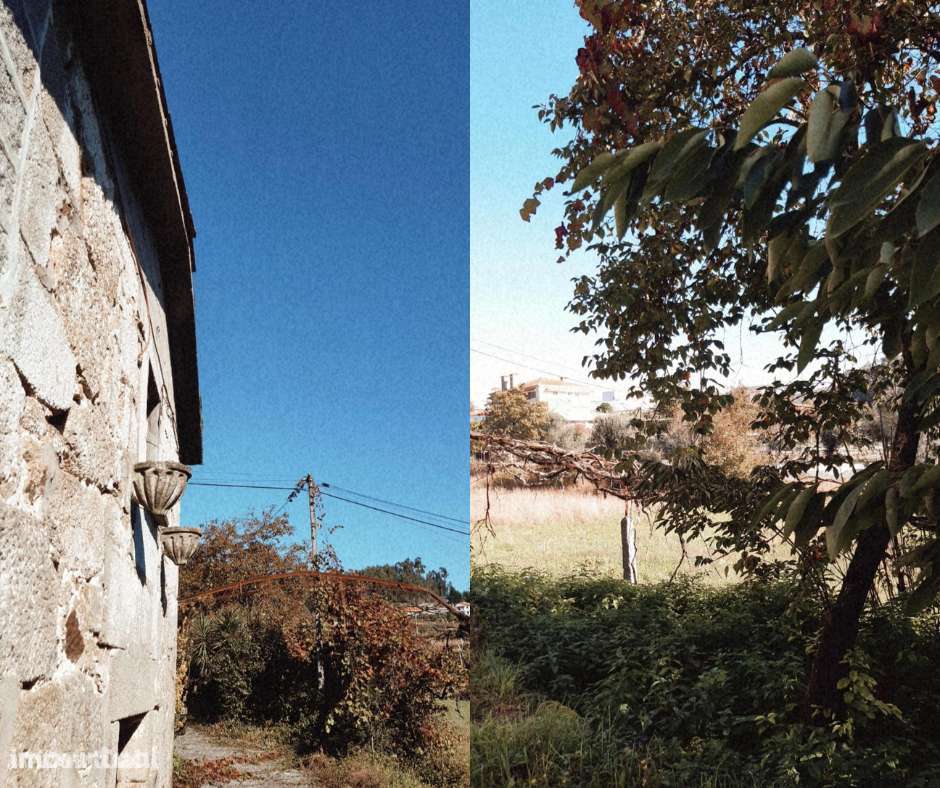 Quintinha arredores de Guimarães - Grande imagem: 4/8