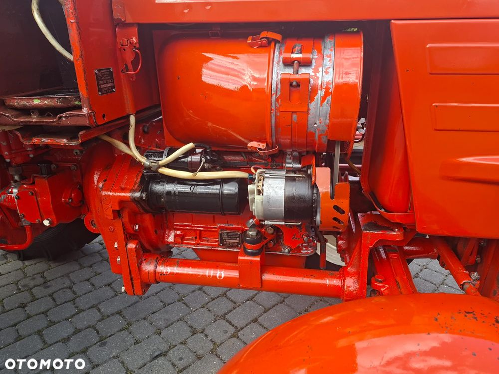 Belarus WŁADIMIREC RUSKI T-25 - 10