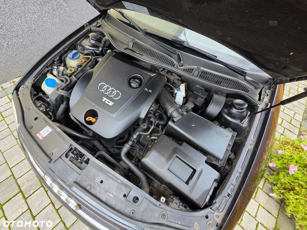 Audi A3 3-drzwiowe - 8