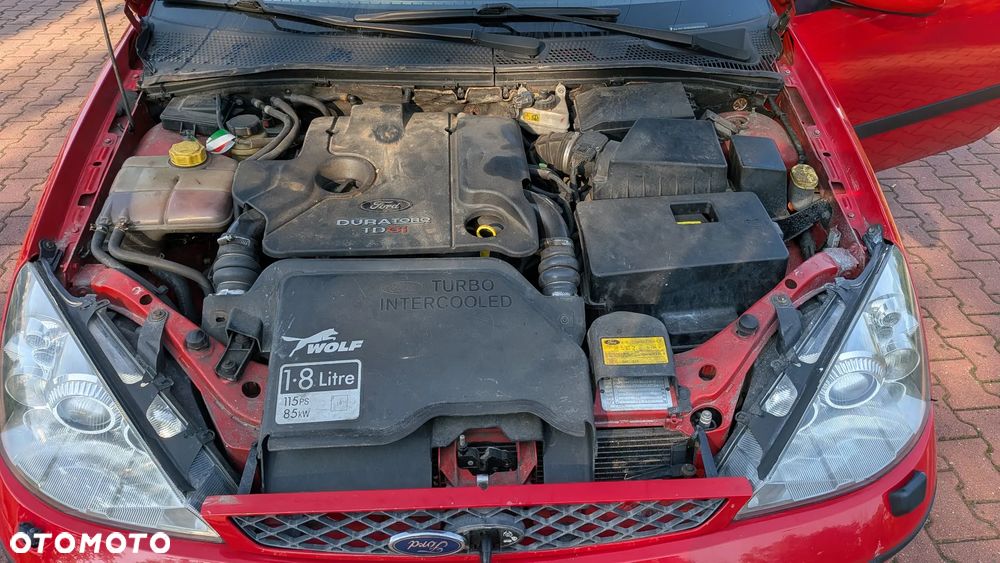Ford Focus - 7