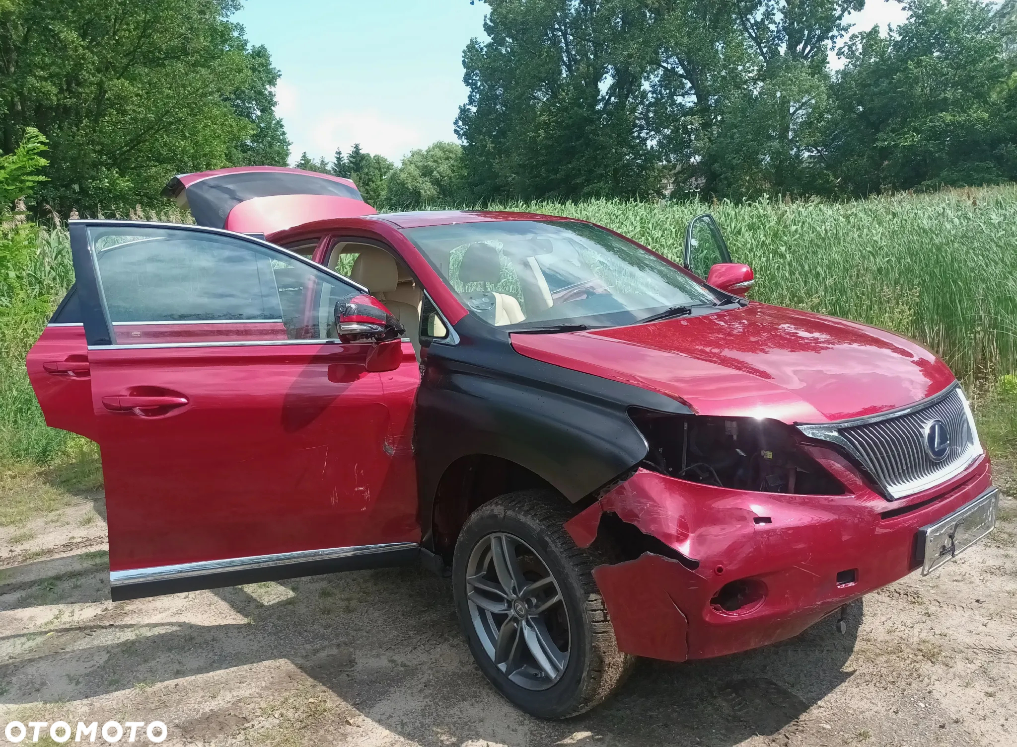 Lexus RX 450h (hybrid) Executive Line - 2